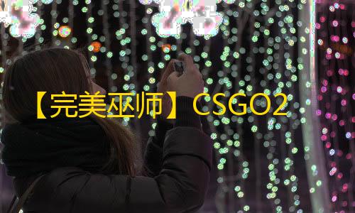 【完美巫师】CSGO2-辅助