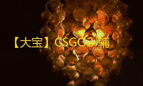 【大宝】CSGO2-辅助
