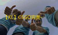 【KL】CSGO完美-辅助